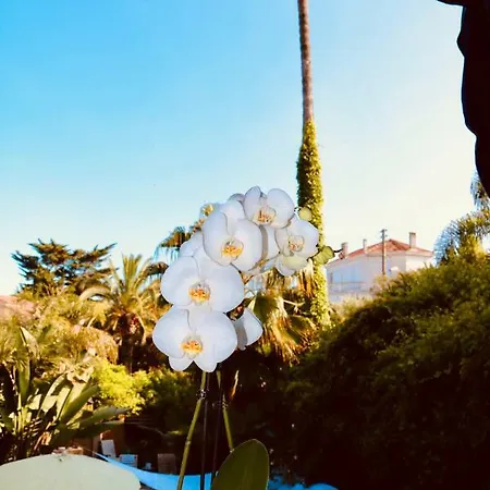 Frida فندق مبيت وإفطار